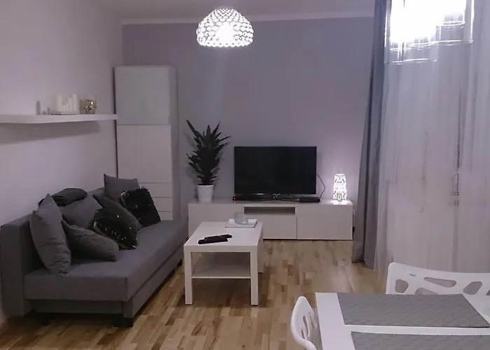 1 Bedroom City Center Apartment